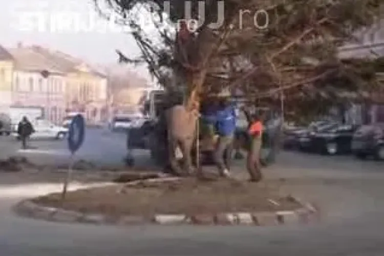 Muncitorii din Dej au montat bradul din centrul orasului in doua ore VIDEO