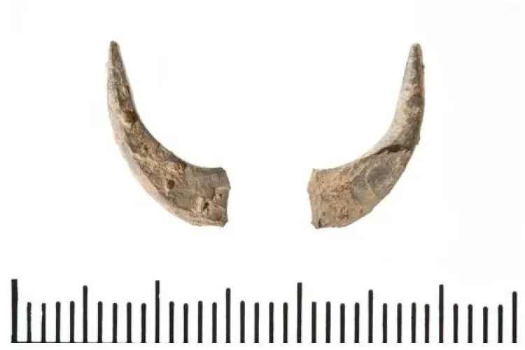 S-a descoperit cel mai vechi carlig de pescuit. Vezi aici de cand dateaza