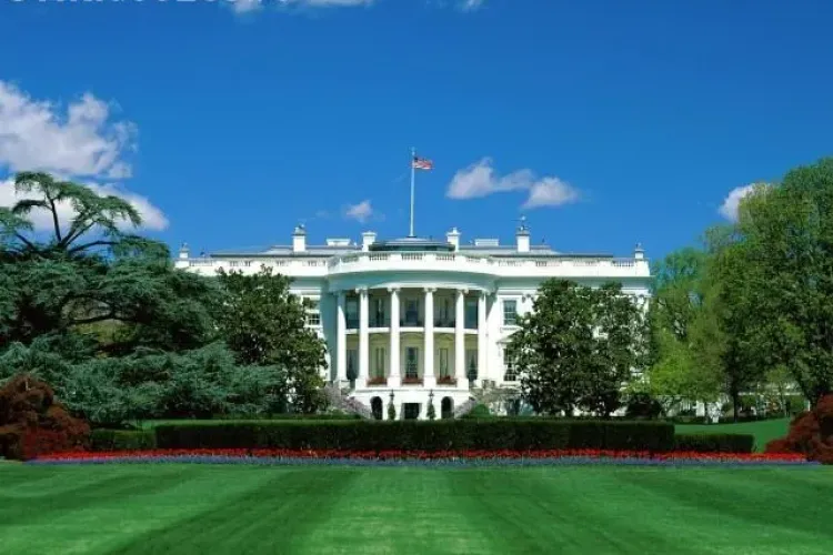 Glont gasit intr-un geam de la Casa Alba