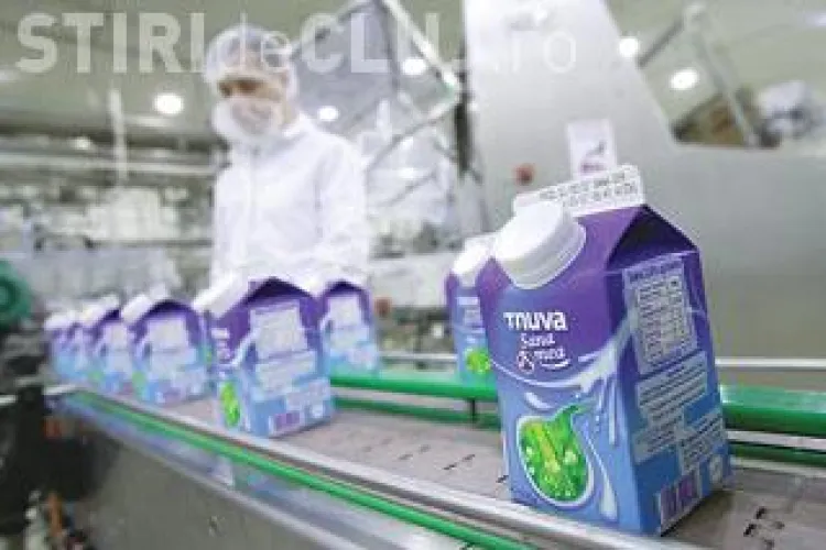 Tnuva ar urma sa plece din Romania din cauza pierderilor masive