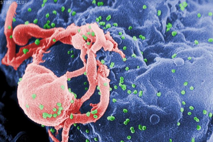 Infectiile cu HIV au scazut
