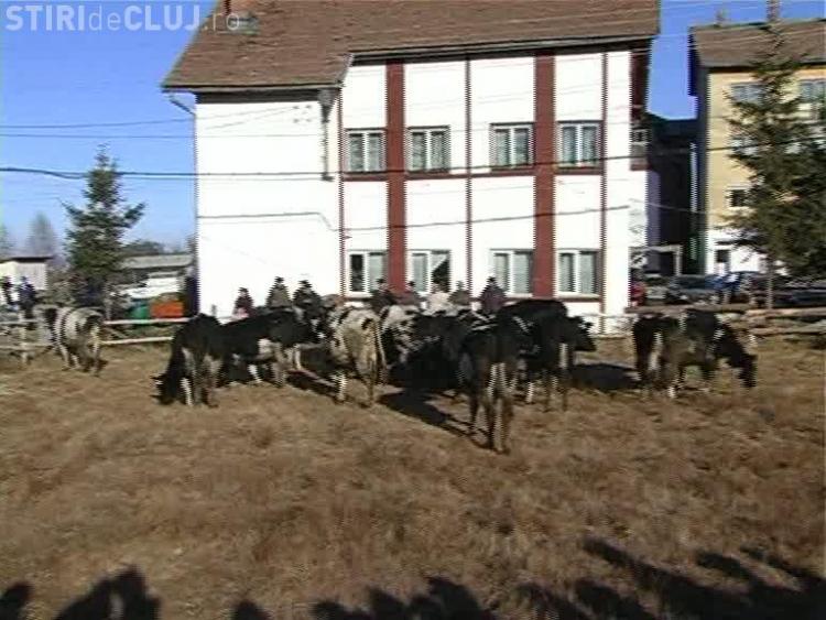 Vremea La Rasca Cluj Jessica Alba Feet