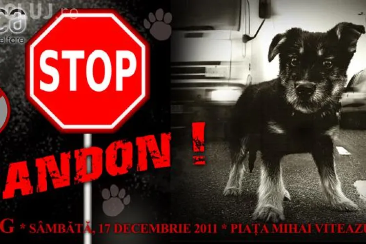 Miting pentru protectia cainilor la Cluj, sambata, 17 decembrie, in Piata Mihai Viteazu