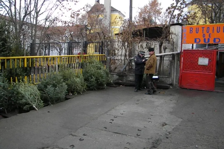 Brazi confiscati de langa Piata Mihai Viteazu VIDEO si FOTO
