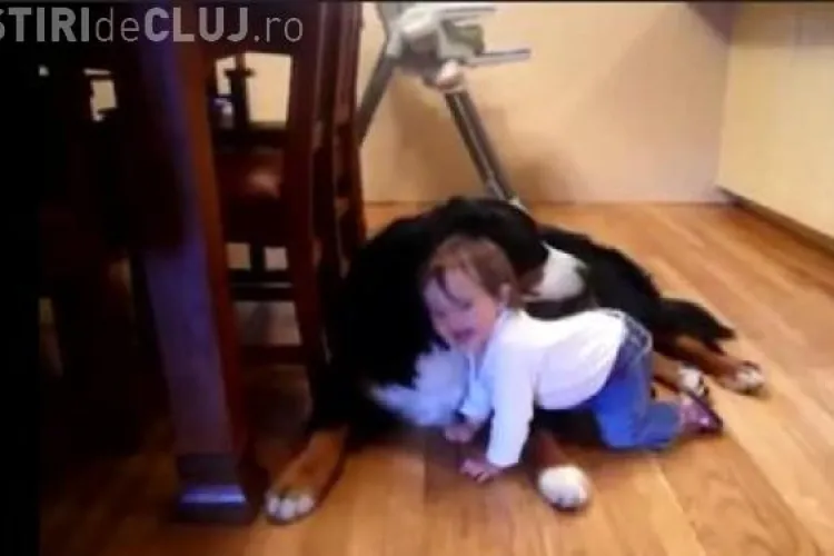 Un bebelus rade molipsitor in timp ce un caine il linge pe fata VIDEO