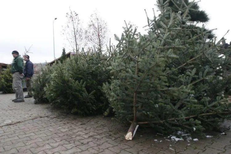 Piete volante de brazi in perioada 15-25 decembrie la Cluj-Napoca! Vezi locatiile VIDEO