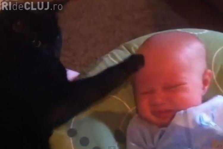 EMOTIONANT! O pisica mangaie pe cap un bebelus care plange pana adoarme si apoi il saruta