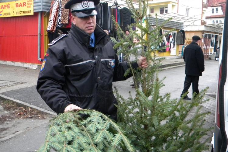 Politia locala a confiscat brazi de Craciun si mii de petarde