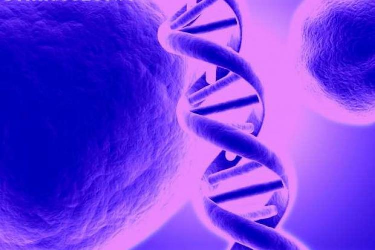 Durata de viata poate fi prezisa din ADN