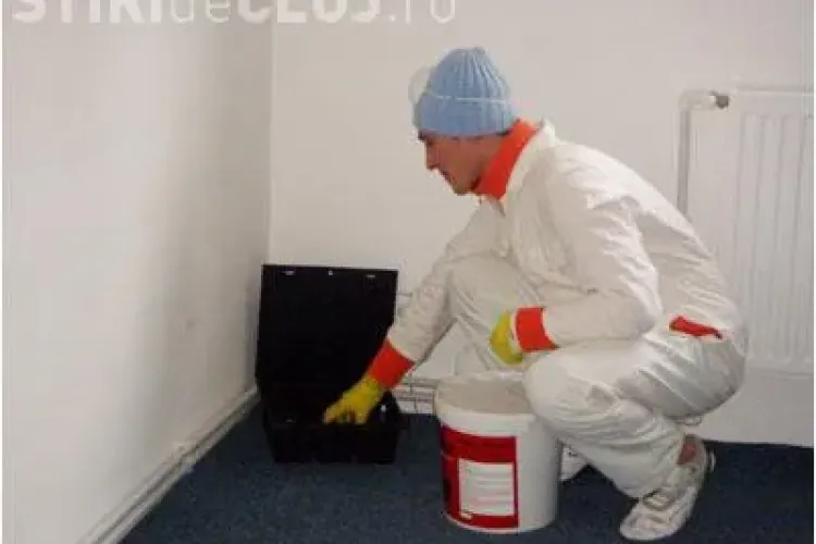 ATENTIE! Angajati falsi de la deratizare bat la usile clujenilor