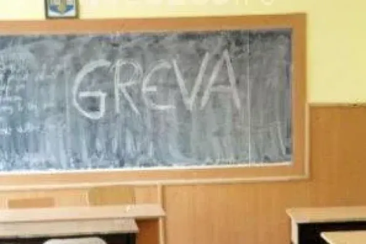 Elevii din Finisel au intrat in greva generala