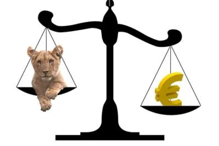 Increderea romanilor in moneda nationala creste, iar cea in EURO scade