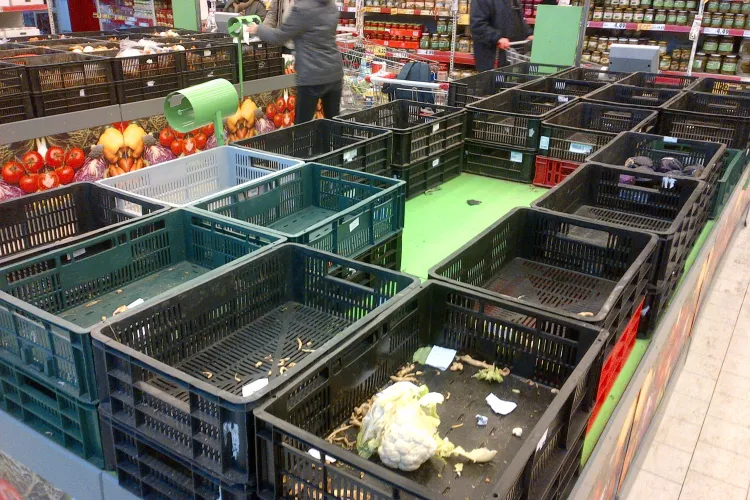 Romanii au golit magazinele ca la foamete! Se tem de ninsoare FOTO