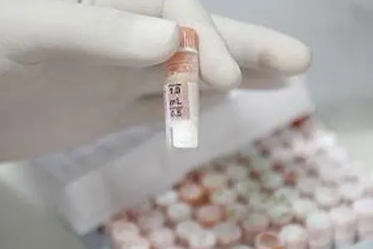 Persoanele nevazatoare si-ar putea capata vederea cu ajutorul celulelor stem