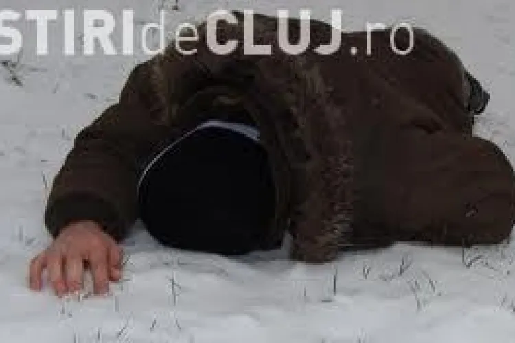 Numarul deceselor din cauza gerului continua. Alti 7 oameni au murit 