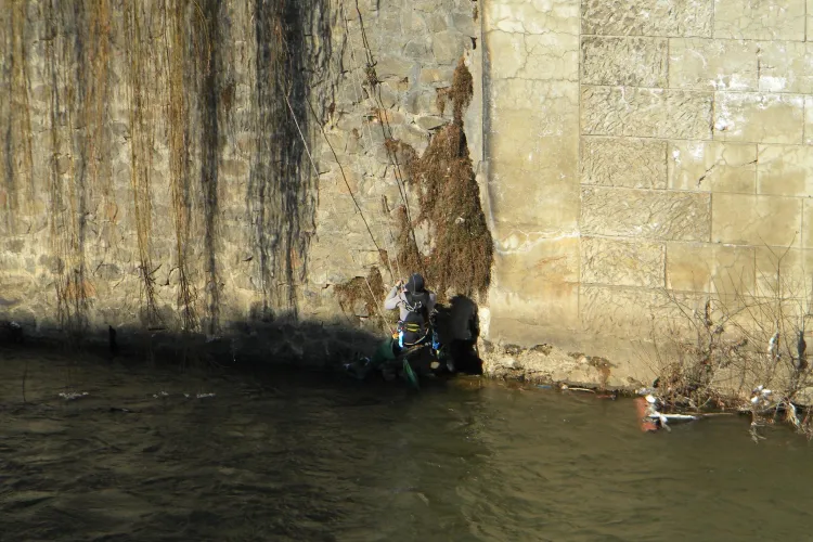 Pompierii au intervenit sa salveze o pisica din Somes, la podul din dreptul strazii Dacia VIDEO si FOTO