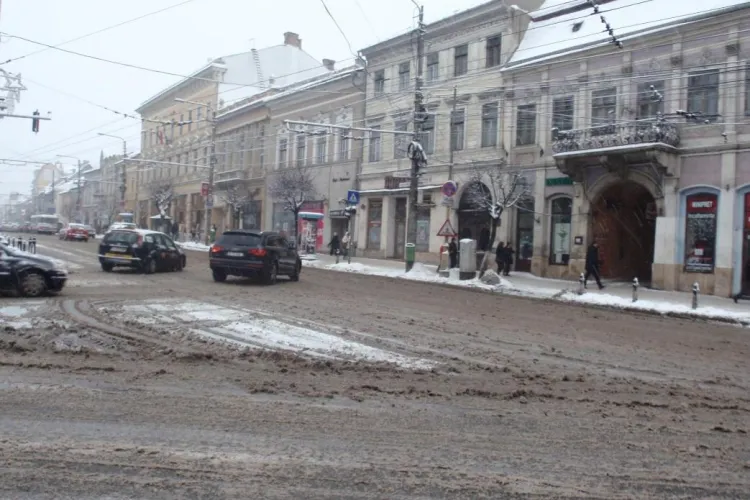 Brantner Veres si Rosal, amendate pentru deszapezire