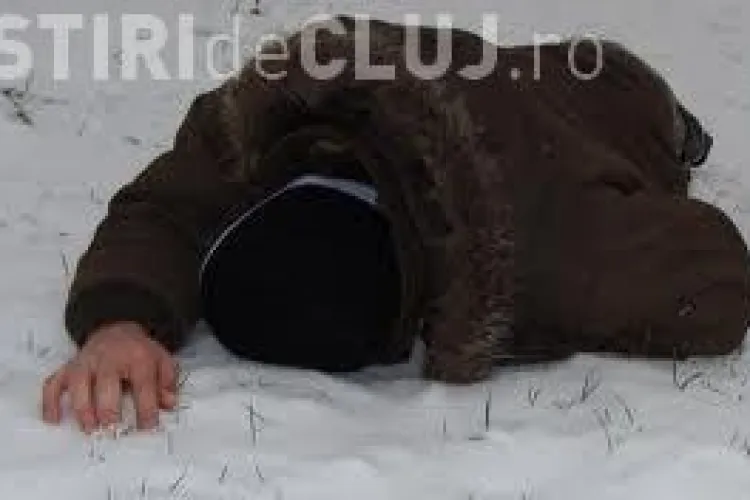 Frigul a mai facut o victima la Cluj. In ultimele 24 de ore gerul a ucis 8 persoane in Romania