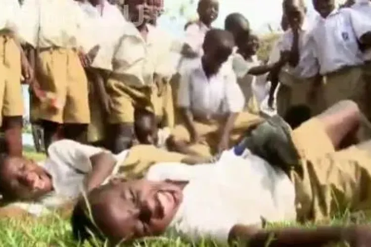 Fenomenul care a socat o lume intreaga: Au ras fara oprire timp de sase luni 