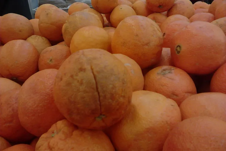 Portocale inghetate puse in vanzare la Auchan FOTO STIREA CITITORULUI
