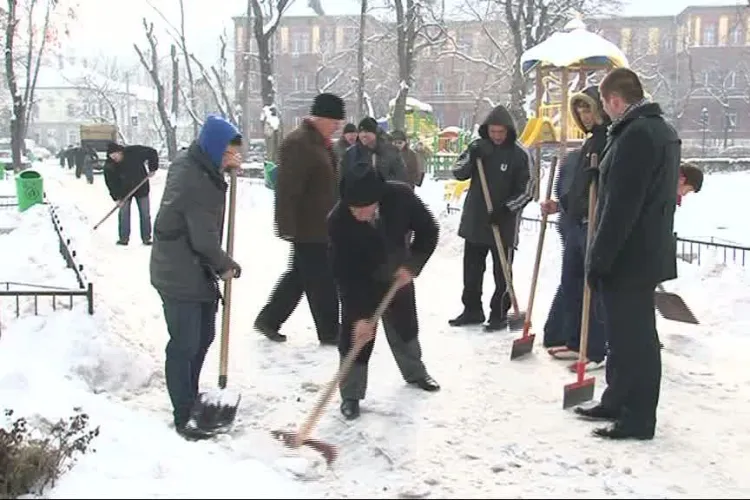 Rugbistii de la U Cluj au deszapezit aleile din Parcul Stefan cel Mare VIDEO si FOTO
