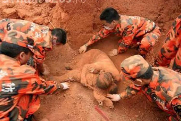 Imaginea care a sensibilizat milioane de oameni pe Facebook FOTO