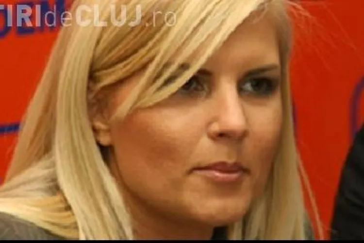 Elena Udrea: Avem nevoie de un Guvern mai putin erodat. Vezi ce scrie Udrea pe blogul ei
