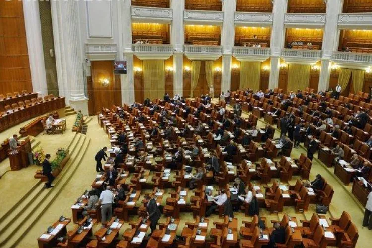 Guvernul a fost votat. Avem Guvern, au strigat PDL-istii!