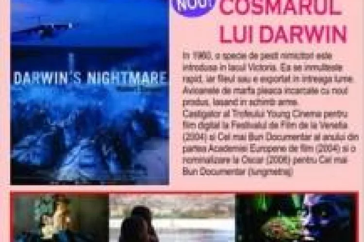 Stiri de Cluj te trimite la film! 5 like-uri= 1 invitatie de doua persoane la filmul premiat la Festivalul de la Venetia 