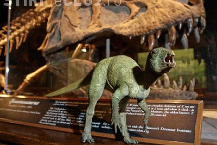 Noaptea Muzeelor cu expozitii despre dinozauri, meteoriti si o vizita la Vivariul de la Universitatea Babes-Bolyai din Cluj-Napoca