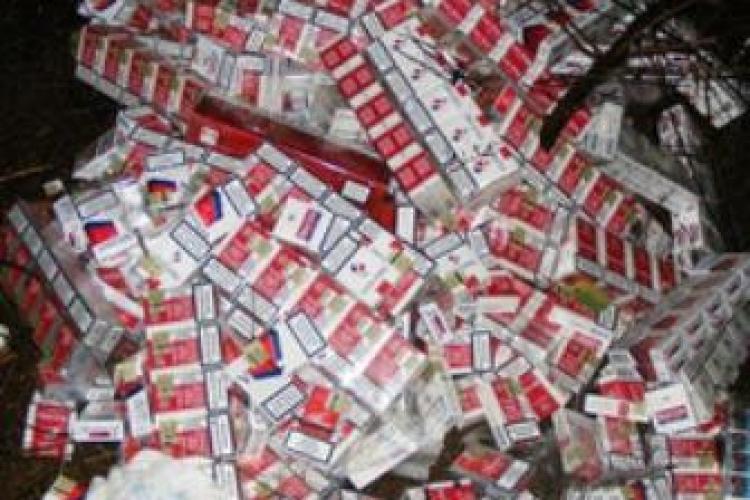Politistii clujeni au confiscat astazi 40 de mii de tigarete de contrabanda- VIDEO