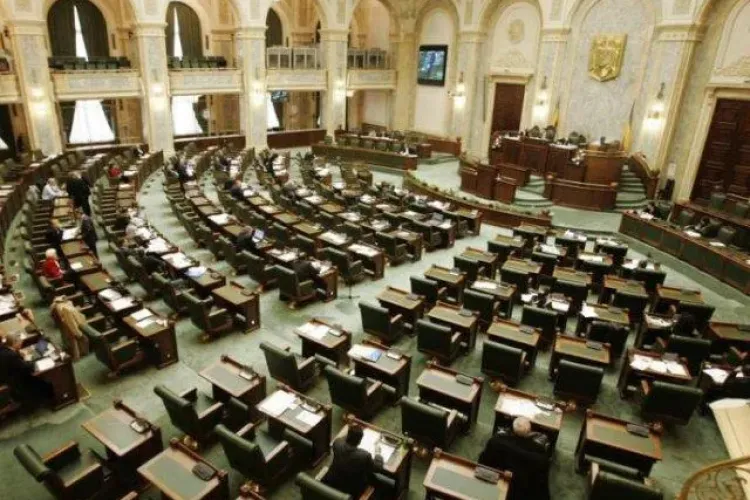 Senatorii au votat ca bijuteriile si tablourile sa nu mai fie trecute in declaratile de avere