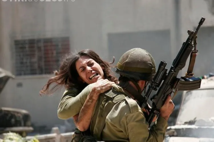 TIFF Cluj - Filmul "Lebanon", castigatorul Leului de Aur, va rula astazi de la 20.30, la UBB Auditorium