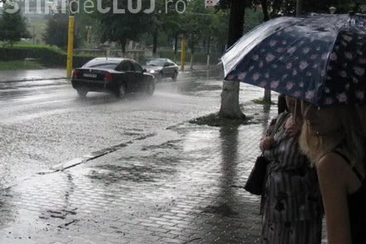 Cod Galben in Cluj, Salaj, Satu-Mare, Maramures