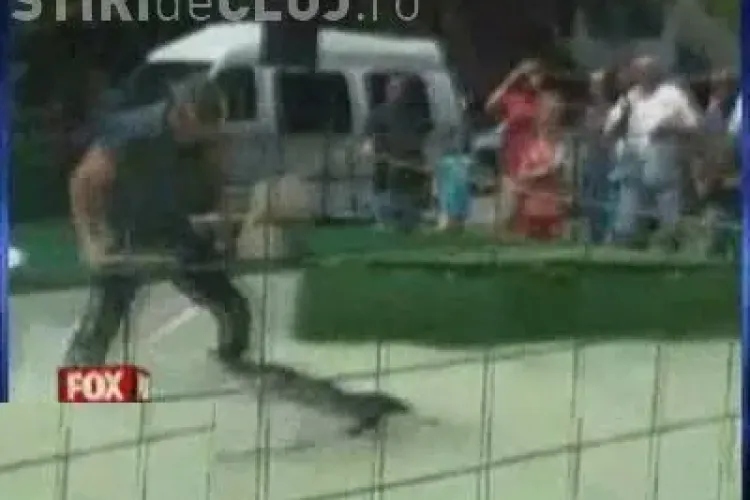 VIDEO - A ramas fara un brat dupa ce s-a luptat cu un crocodil - Imagini SOCANTE