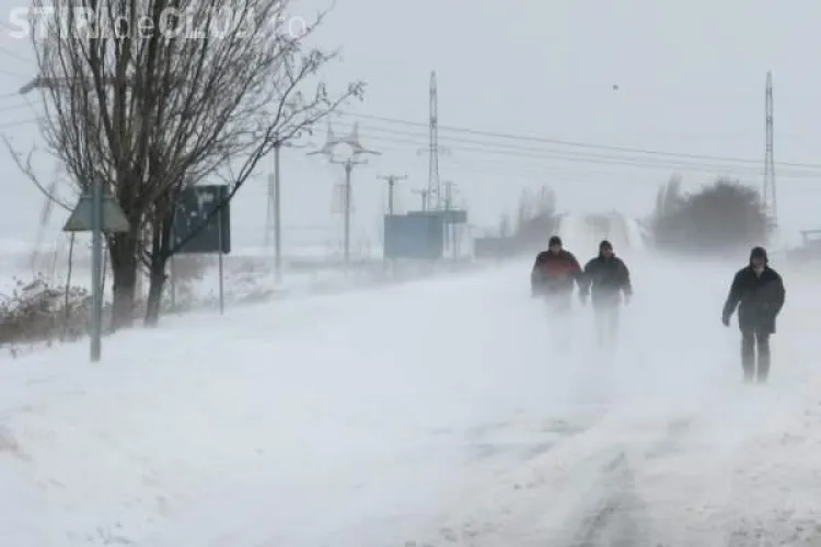 Averizare COD GALBEN de vant in judetul Cluj