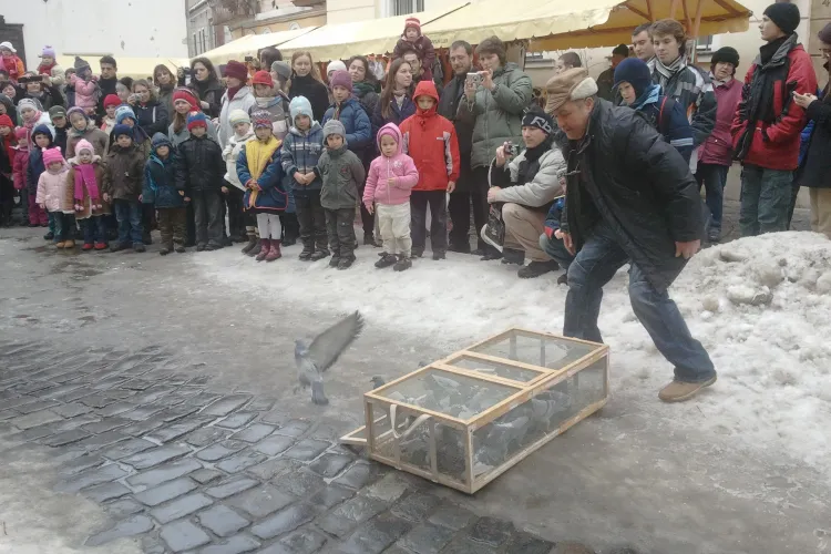 Fostul rege maghiar, Matei Corvin, sarbatorit la Casa Matei! Zeci de porumbei eliberati in aer FOTO