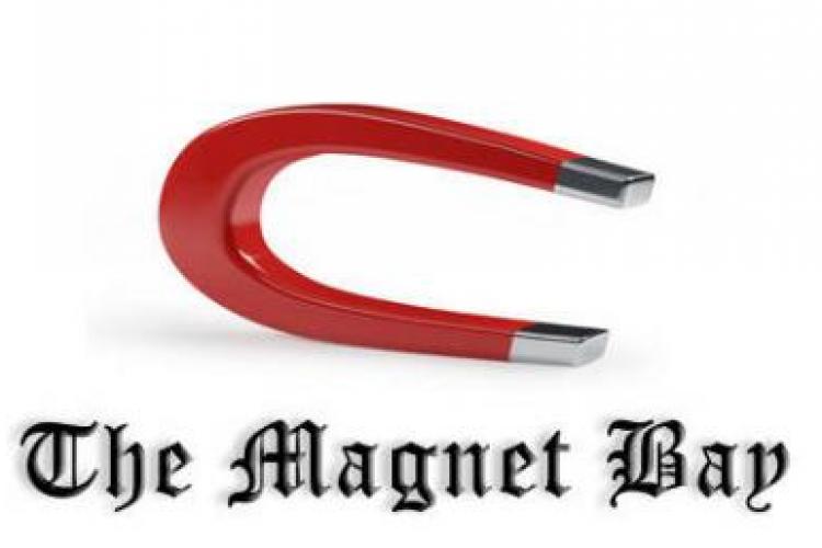 "The Pirate Bay" a sters toate torentele si se numeste "The Magnet Bay"