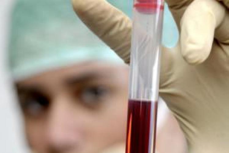 DESCOPERIRE: Doua grupe noi de sange au fost descoperite: LANGEREIS si JUNIOR
