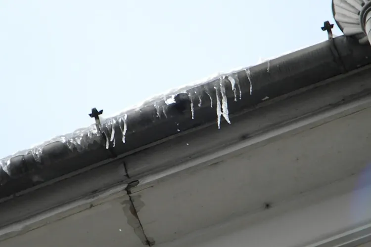 Primaria Cluj-Napoca: Cetatenii au obligatia sa indeparteze turturii si zapada de pe acoperis 