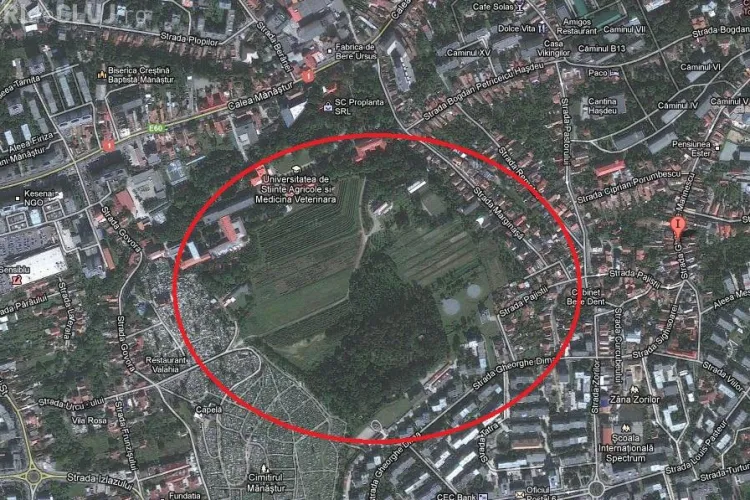 Padure-parc de 6 hectare, amenajata intre cartierul Zorilor si campusul Hasdeu