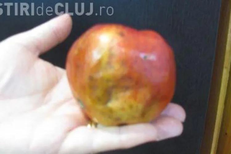 Mere inghetate si lovite, servite elevilor din Cluj. Firma care livreaza fructe in scoli, amendata cu 30.000 de lei