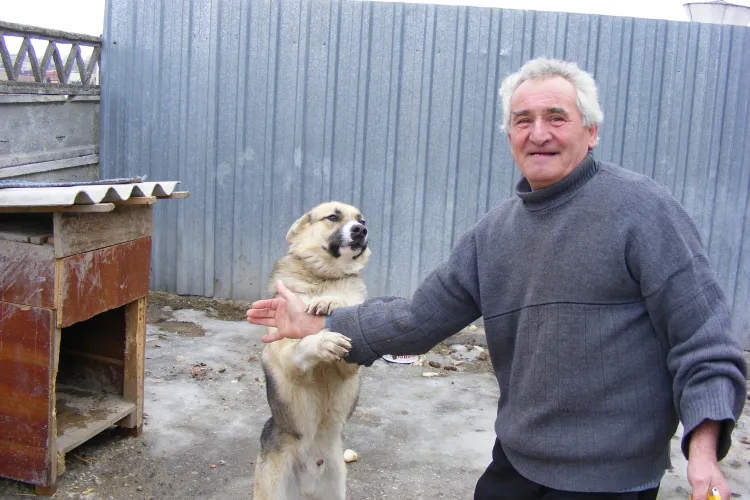 INCREDIBIL: Clujean amendat cu 100 de lei pentru ca ii latra cainele VIDEO