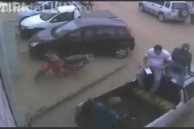 Doi barbati au fost atacati de un pitbull VIDEO