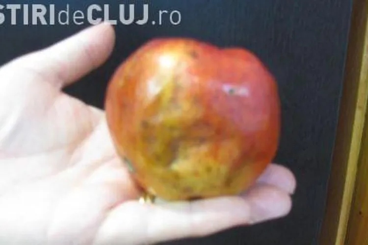 Firma ce livreaza laptele, cornul si marul elevilor clujeni este atent monitorizata de OPC Cluj VIDEO