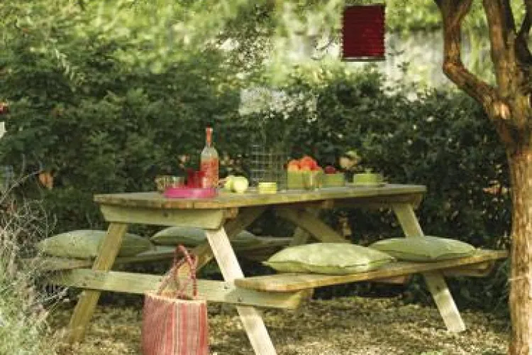 Noi reguli si sanctiuni pentru iesirile la picnic 