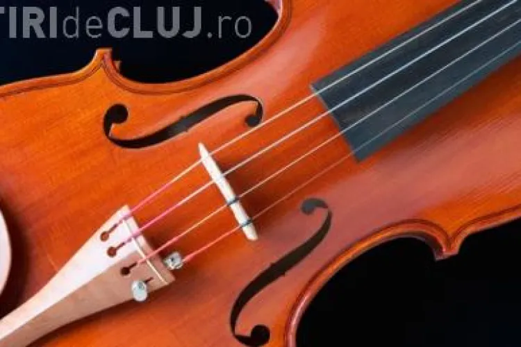 A fost creata vioara cu corzi din fire de panza de paianjen