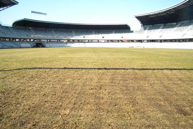 Ciorile, alungate de pe Cluj Arena cu ajutorul ultrasunetelor