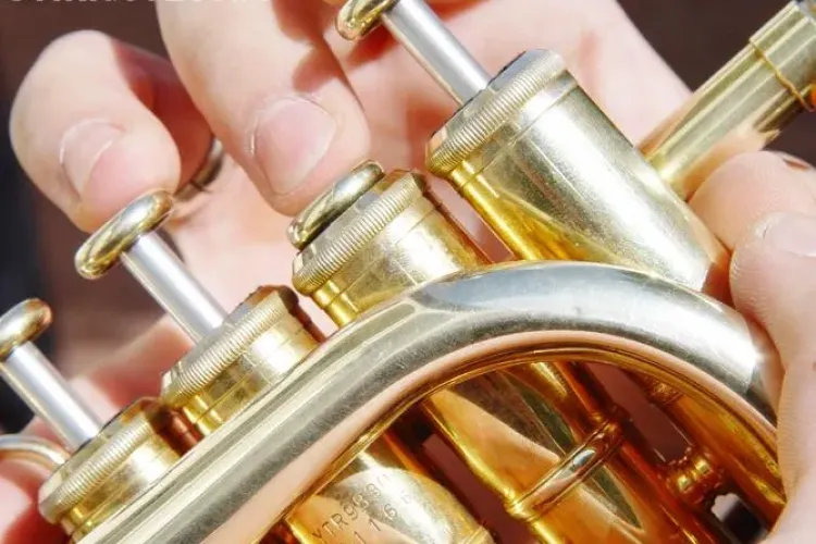 Asociatia Trompetistilor din Romania sustine sambata un concert la Cluj