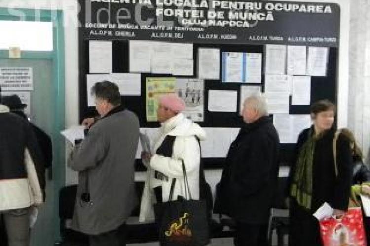 Din 78 de someri din Cluj si Salaj, 16 si-au gasit un loc de munca in urma proiectului AMPOSDRU 
